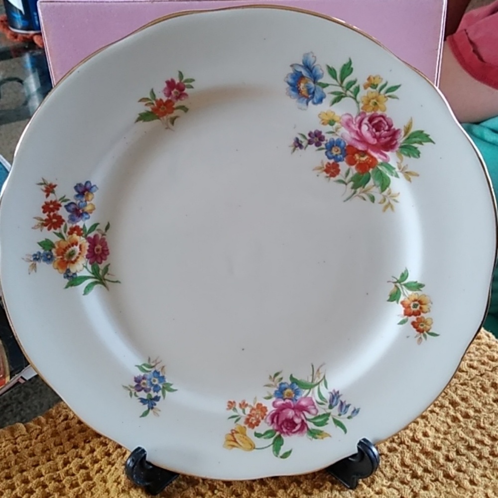 Collectable vintage Hammersley plate